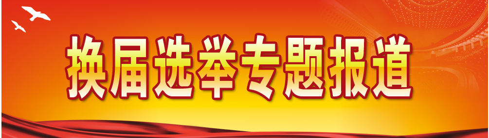 雨湖区换届选举专题报道