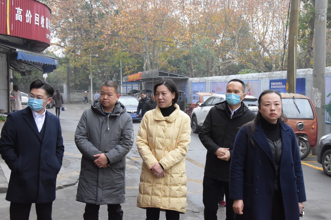 周艳希督导全区深化全国文明城市建设工作