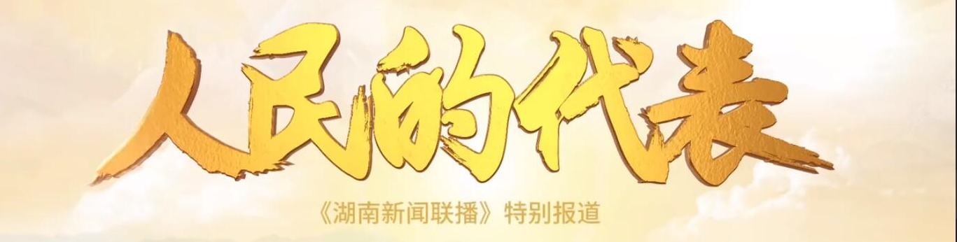 人民的代表