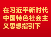防疫生产两手抓 全力以赴稳增长