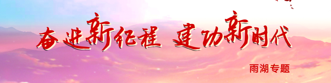 奋进新征程 建功新时代·雨湖专题