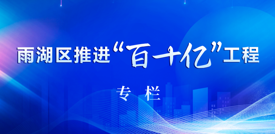 雨湖区推进“百十亿”工程专栏