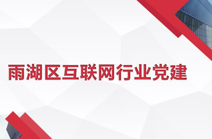 雨湖区互联网行业党建