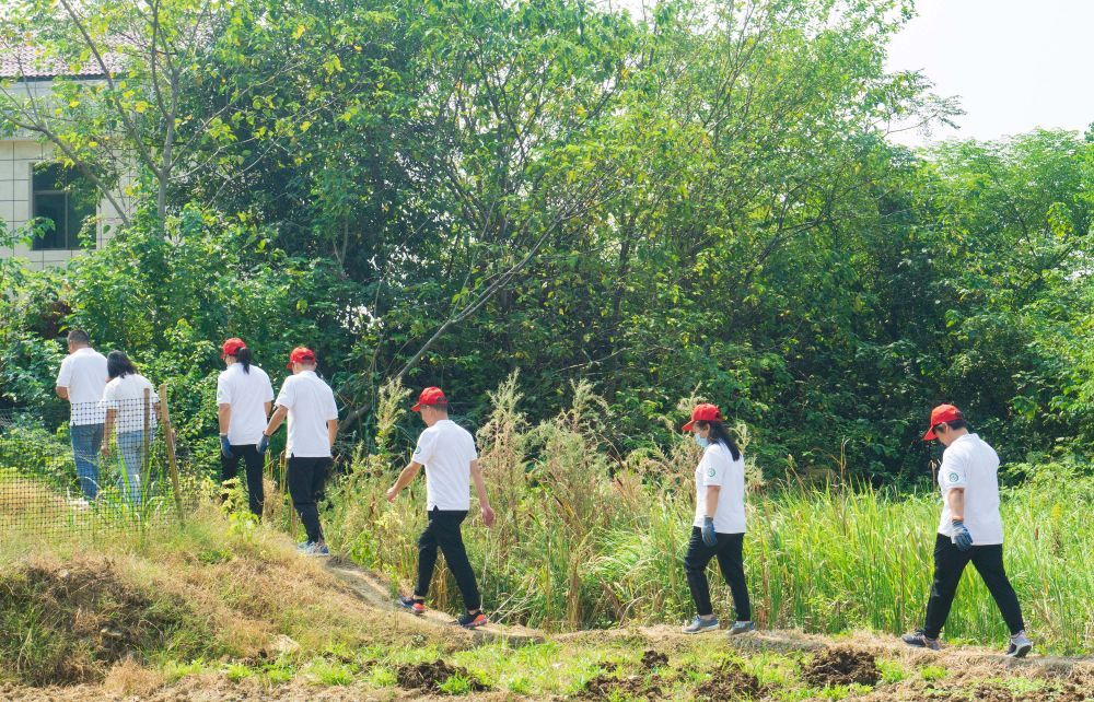 新华全媒+丨湖南湘潭：221名民间林长参与守护绿色大地