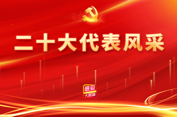 专题丨党的二十大代表风采