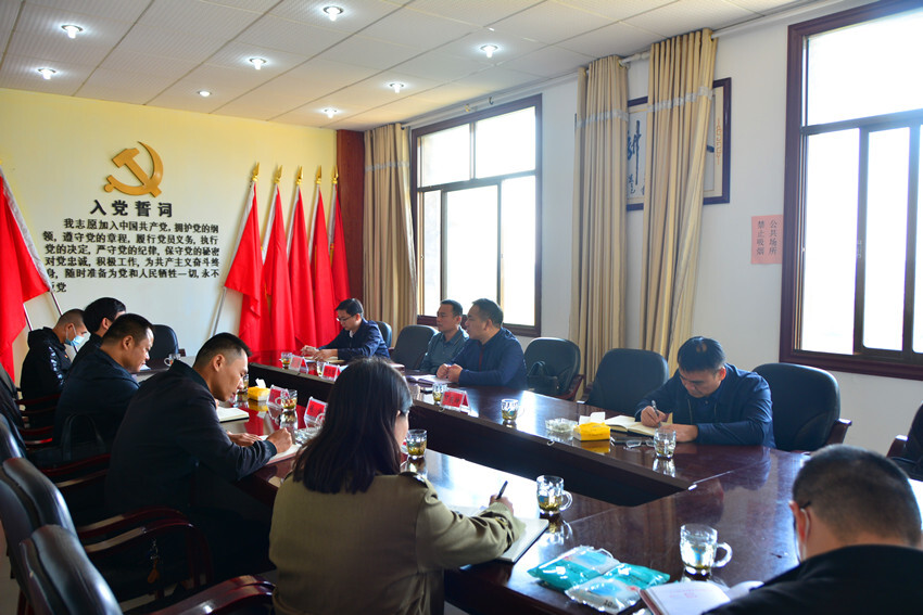 段伟长到鹤岭镇调研党建引领基层治理暨乡村振兴工作