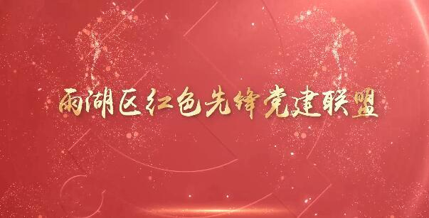 视频丨雨湖区：成立“红色先锋党建联盟”