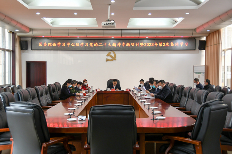 雨湖区委理论学习中心组开展集中学习