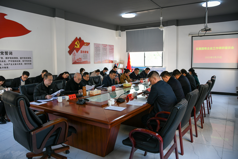 段伟长主持召开区属国有企业工作调研座谈会