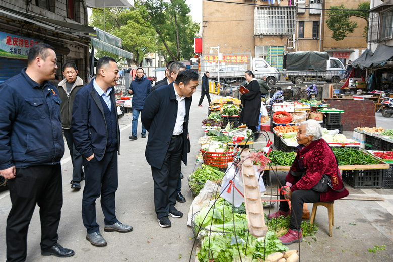 段伟长带队实地督导爱国卫生运动开展情况