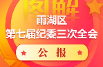 图解｜雨湖区第七届纪委三次全会公报