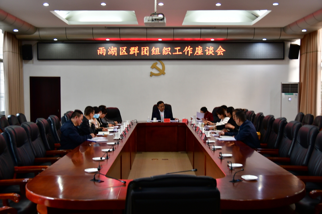雨湖区群团组织工作座谈会召开