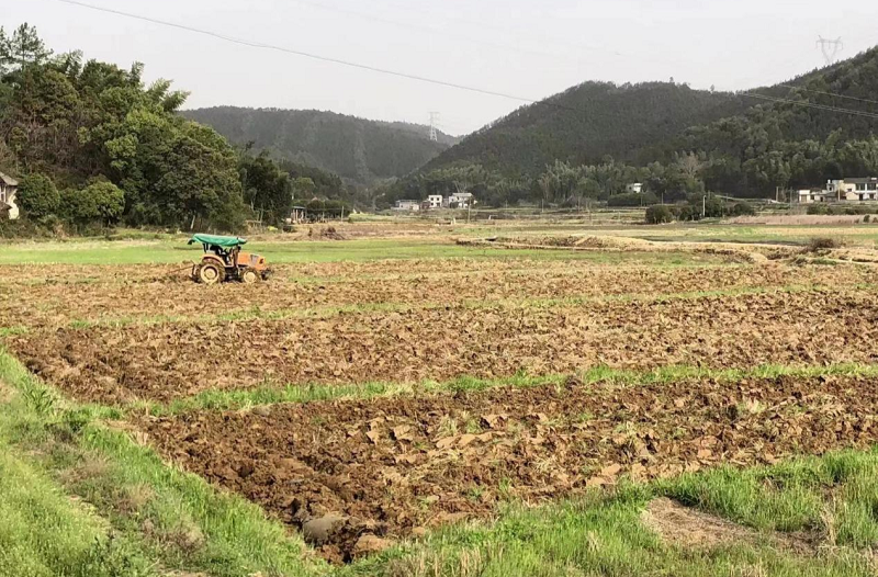 【奋进的春天】龙安村：区块治理凝心聚力，助力农民增收致富