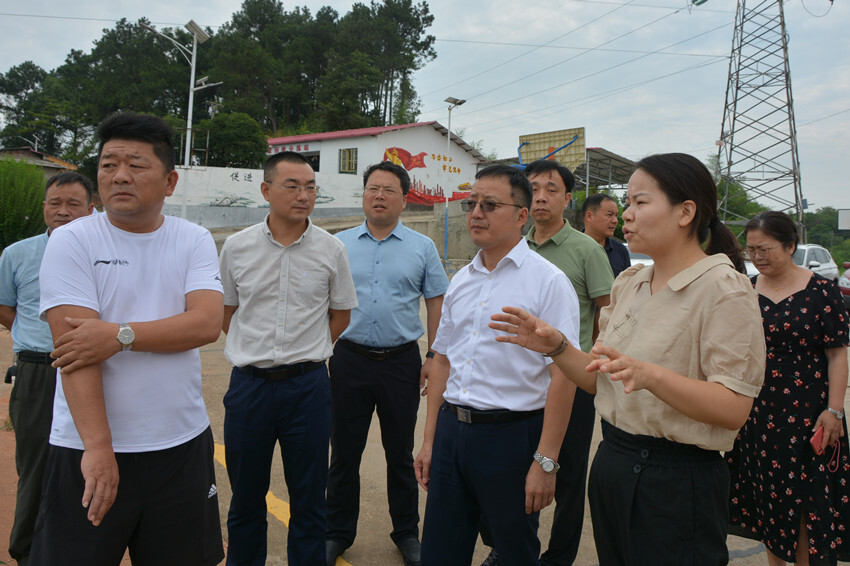 柳军辉带队赴响水乡、和平街道、九华街道调研