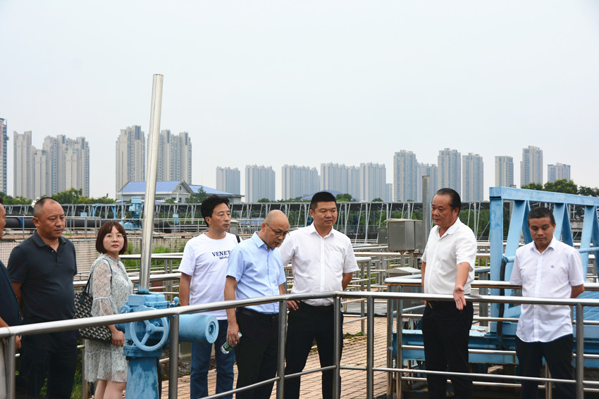 雨湖区开展改善生态环境专项民主监督暨生态环境专项民主监督业务培训