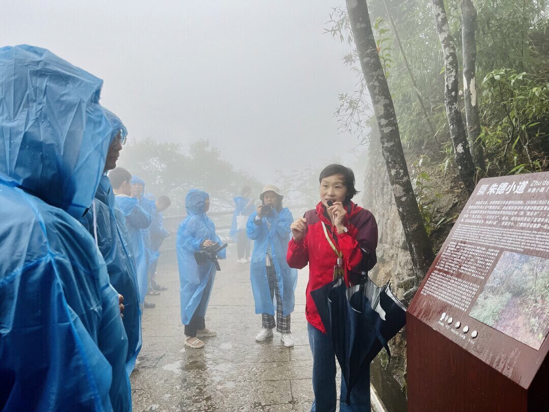 “宜”见钟情，全省新闻战线集中采访采风团聚焦郴州莽山