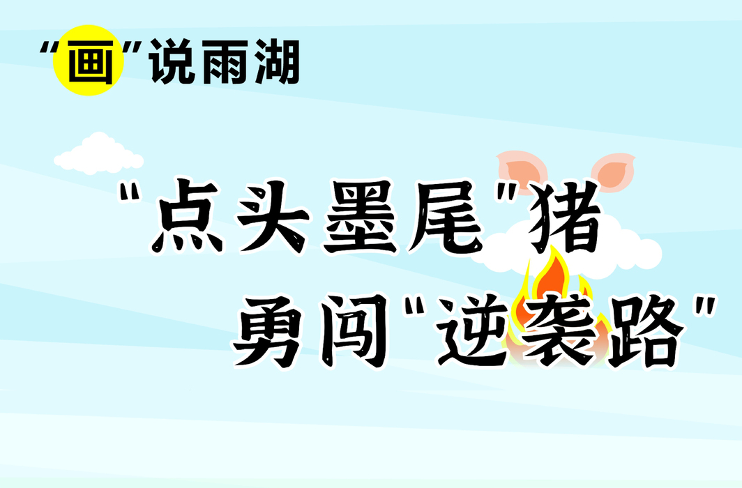 “画”说雨湖｜“点头墨尾”猪勇闯“逆袭路”