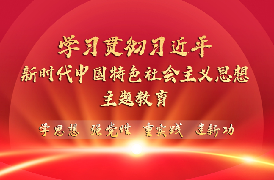 专题丨学习贯彻习近平新时代中国特色社会主义思想主题教育