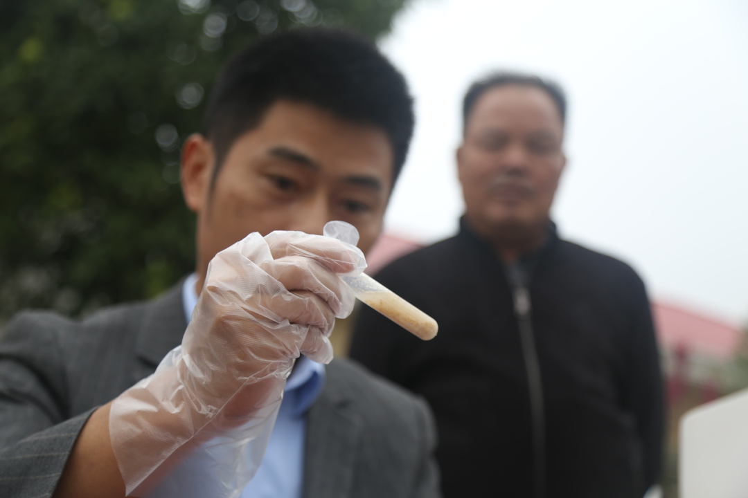 雨湖区鹤岭镇举办低吸镉水稻品种“臻两优8612”观摩测产验收会