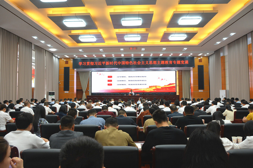 雨湖区开展学习贯彻习近平新时代中国特色社会主义思想主题教育集中学习