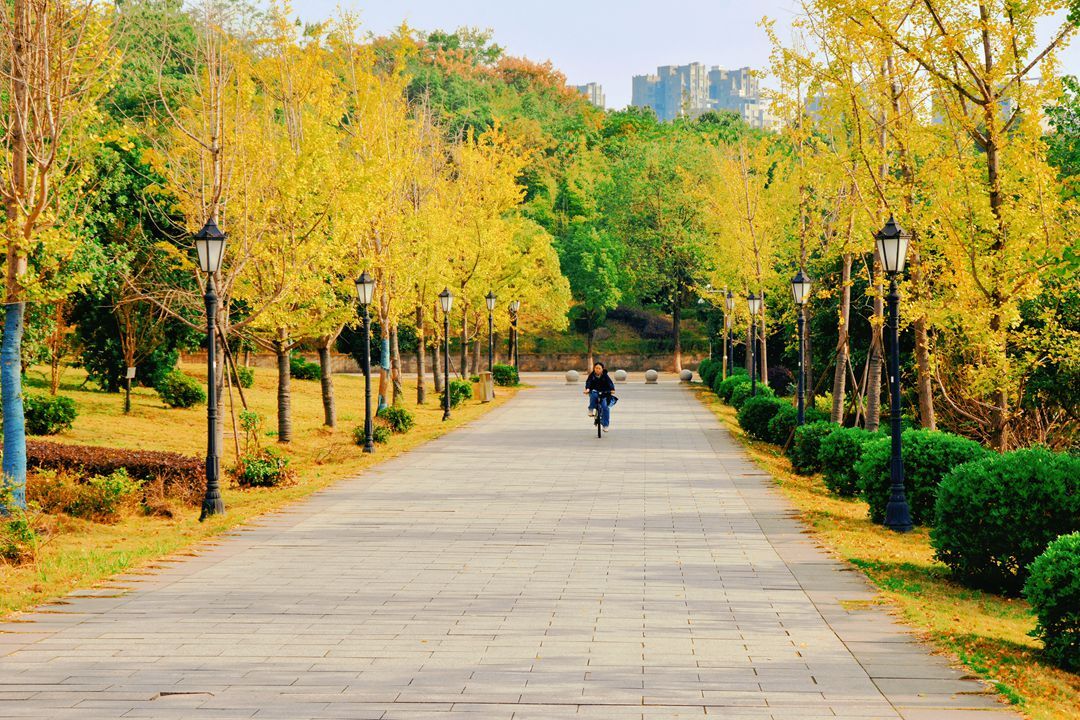 组图丨走进深秋的湖南科大校园