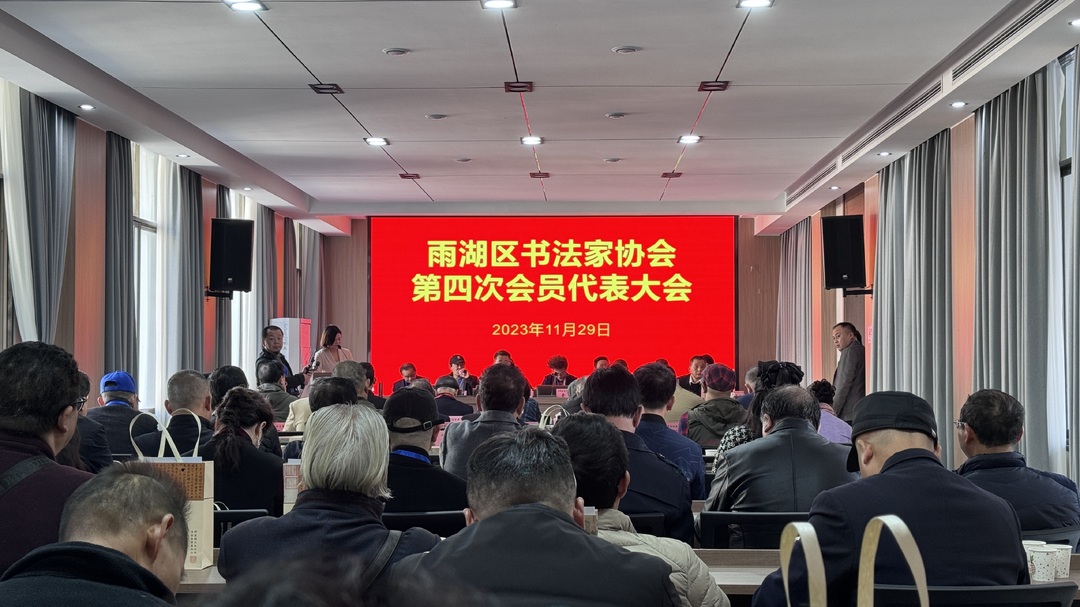 雨湖区书法家协会召开第四次会员代表大会