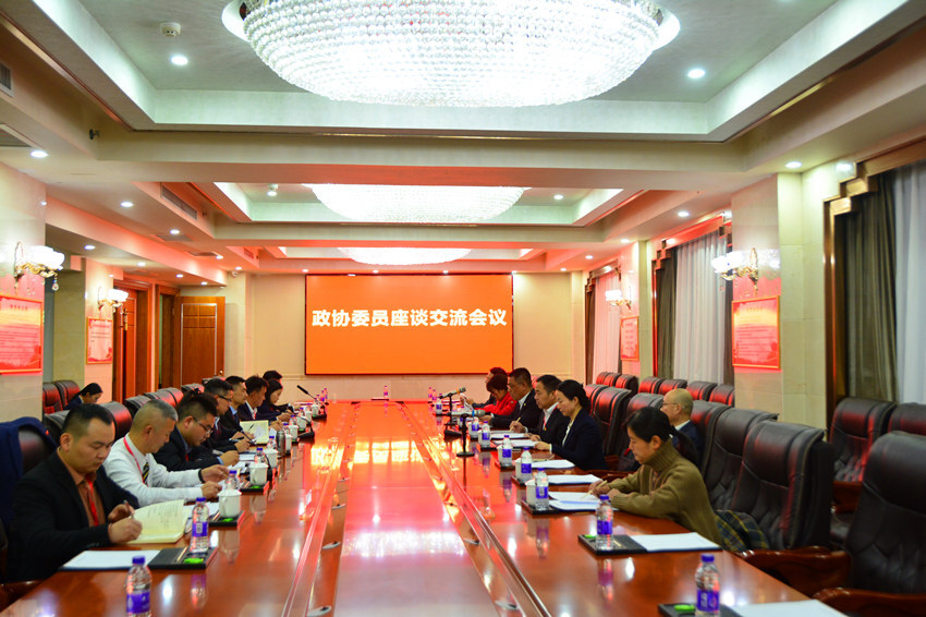 【两会进行时】段伟长与政协委员座谈交流