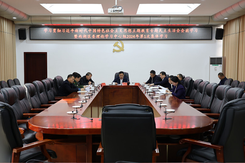 雨湖区委理论学习中心组召开主题教育专题民主生活会会前学习