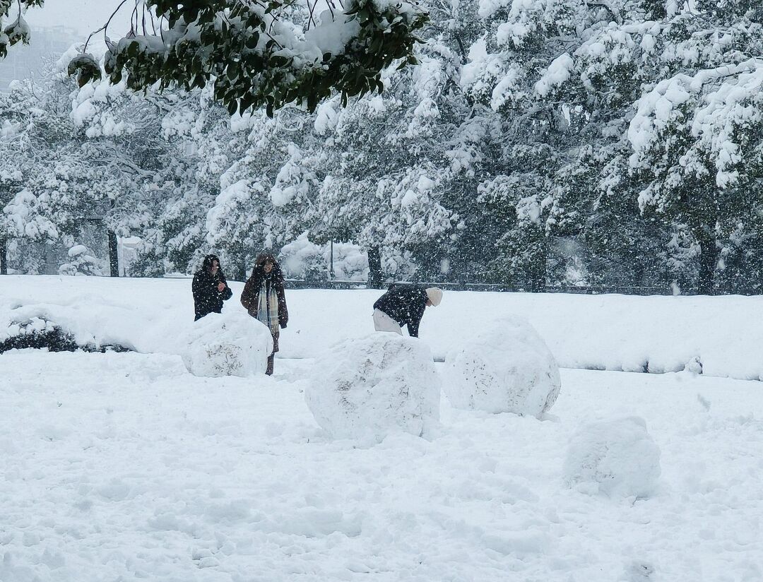 组图丨一起欣赏这场特别的初雪雪景