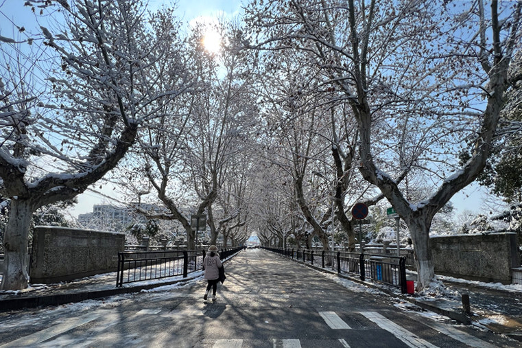 组图丨雪后的雨湖公园美如画 拉满新年“氛围感”
