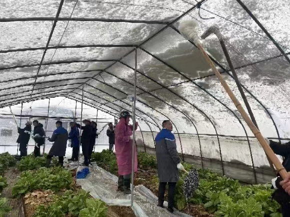 组图丨冬日大雪蕴寒意  温暖关怀在雨湖