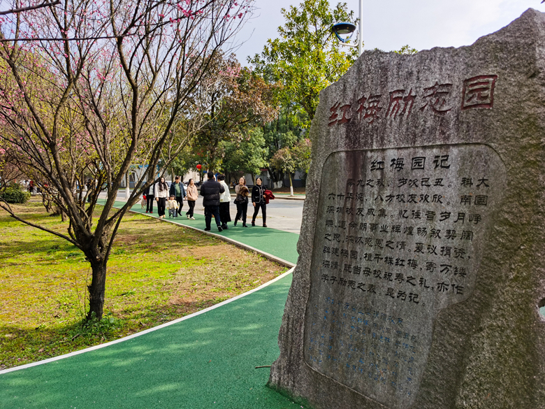 组图丨春节暖阳，梅花盛开迎新春