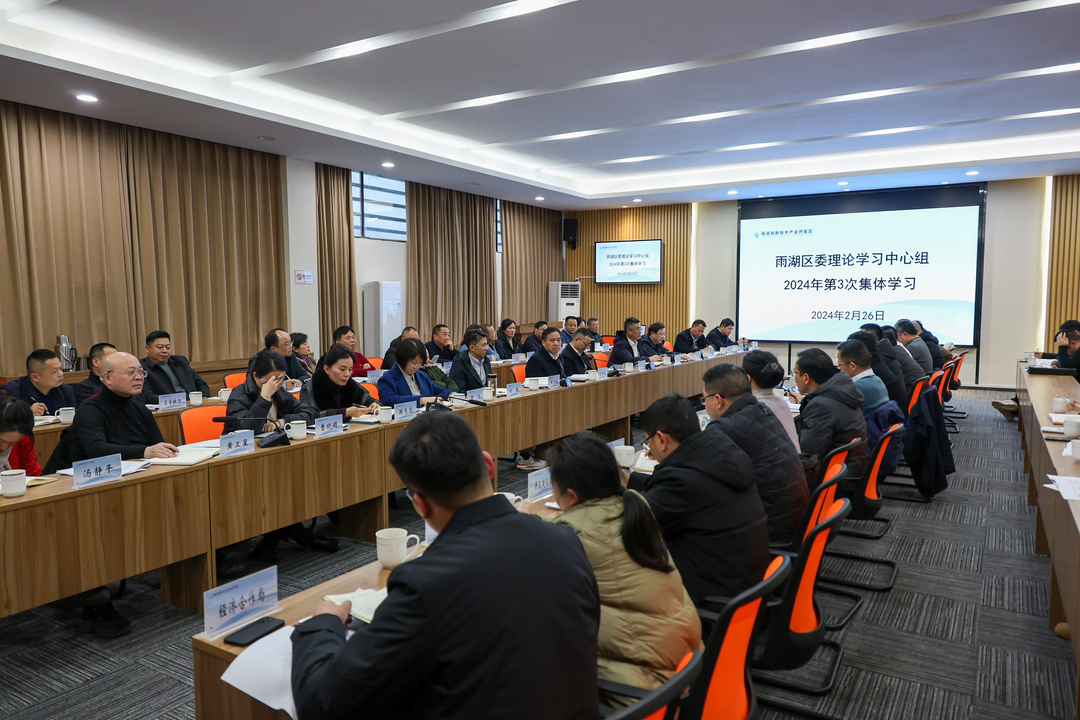 雨湖区委理论学习中心组开展2024年第3次集体学习