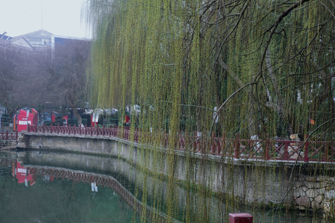 视频丨走进春天的雨湖公园