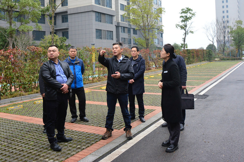 胡亚湘前往九华街道、和平街道调研