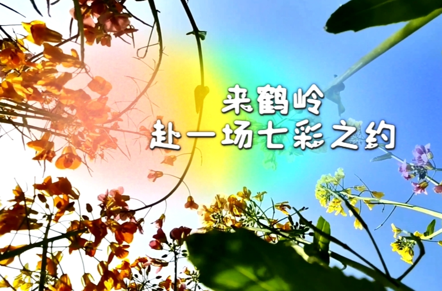 视频｜来雨湖鹤岭赴一场七彩之约