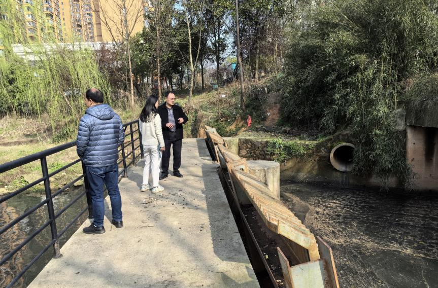 九华街道：开展改善生态环境专项民主监督活动