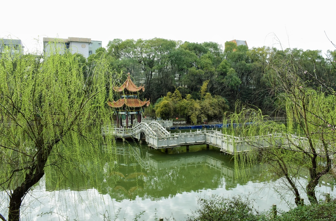 组图 | 春之绿韵：生命的诗意绽放
