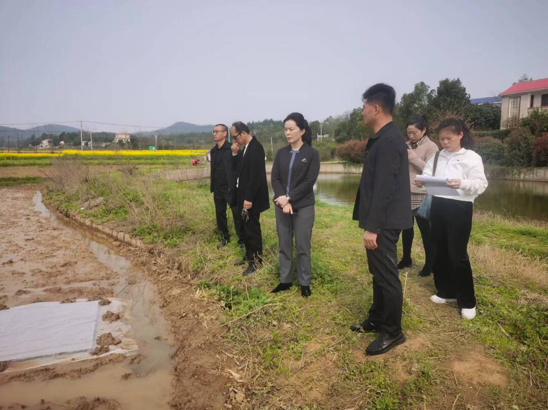 区领导带队巡河并督导粮食生产等工作