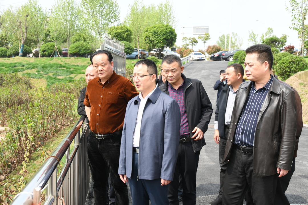 柳军辉带队督导唐兴桥流域返黑返臭整治情况