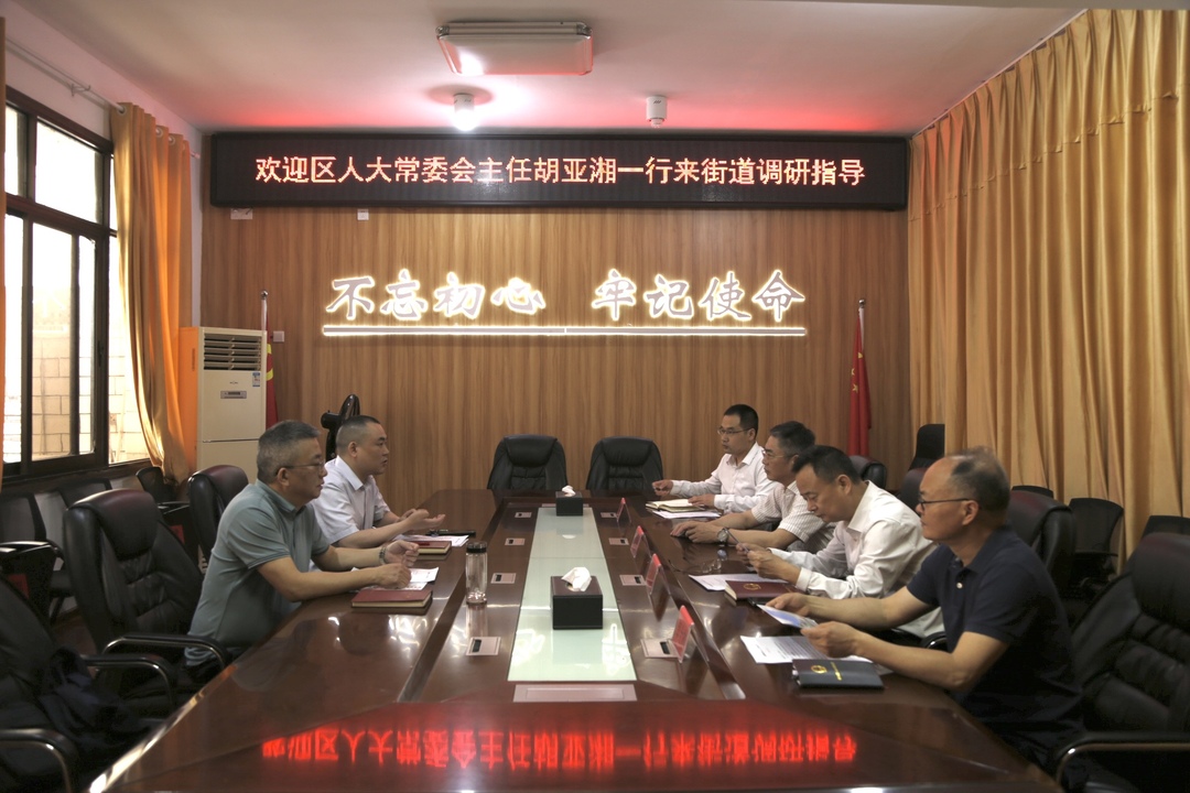胡亚湘一行到雨湖路街道、先锋街道调研人大工作