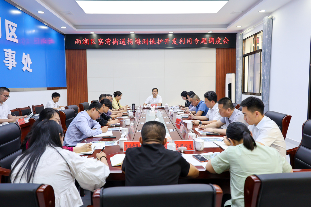 段伟长主持召开雨湖区窑湾街道杨梅洲保护开发利用专题调度会议