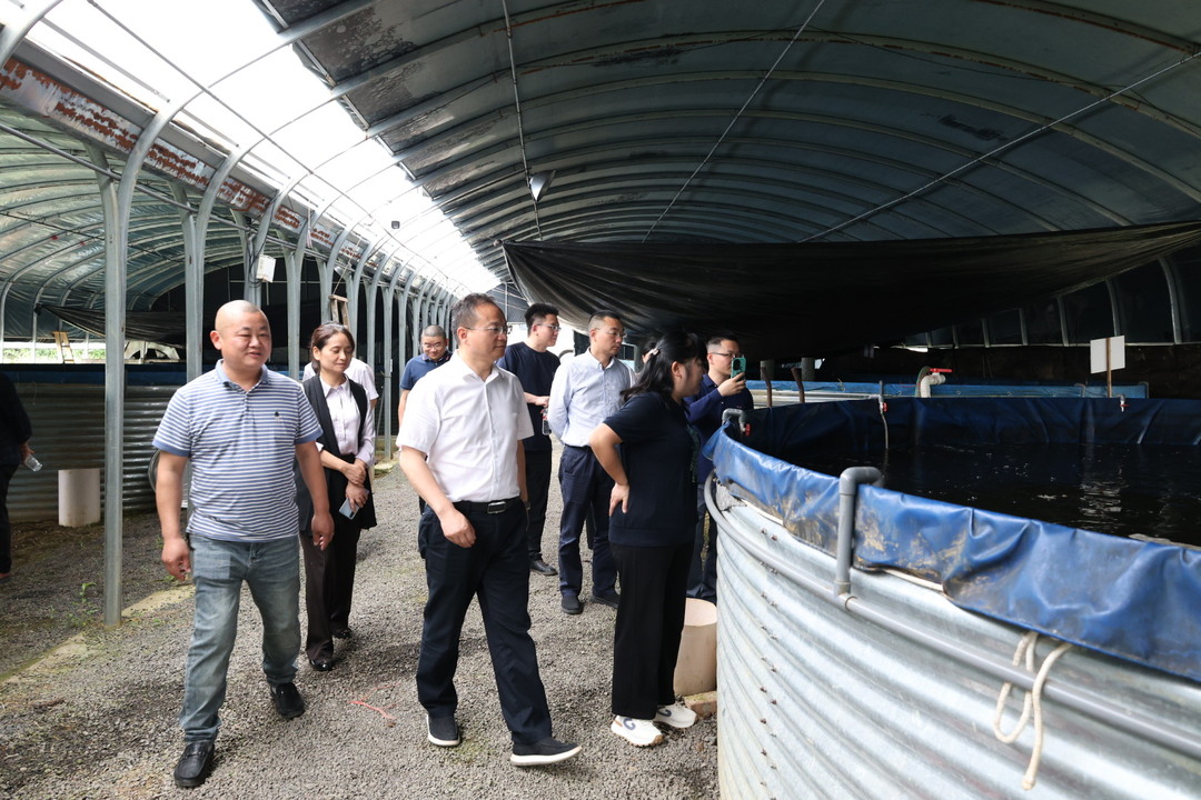雨湖区举办省派科技特派员现场观摩会