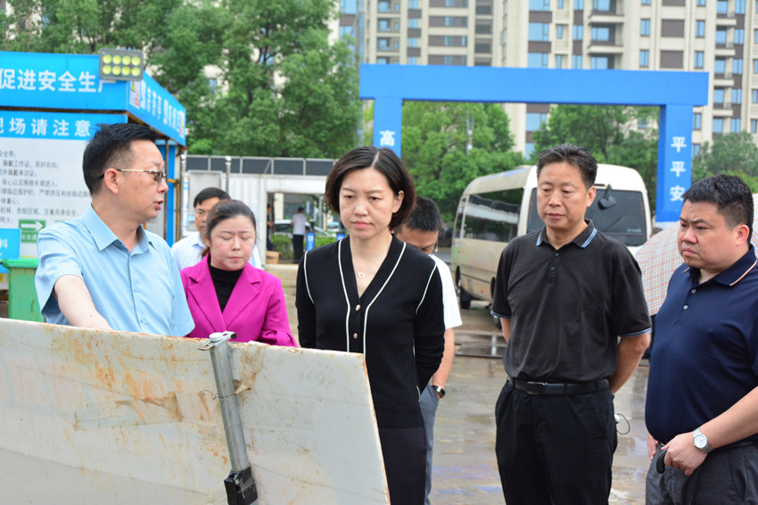 市领导来雨湖区现场调研项目推进工作