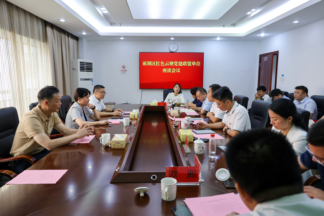 雨湖区红色云塘党建联盟单位座谈会议召开