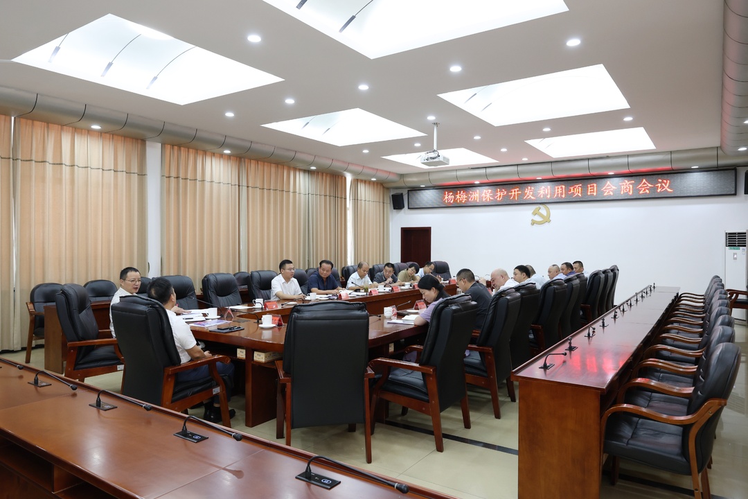 雨湖区召开杨梅洲保护开发利用项目会商会议