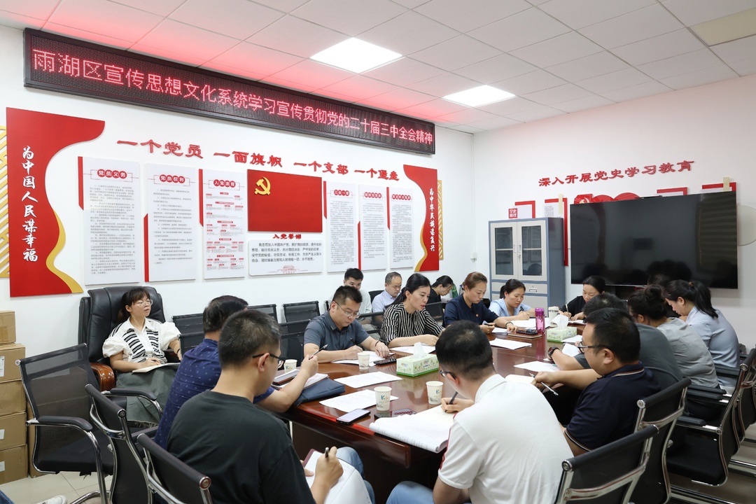 雨湖区宣传思想文化系统学习宣传贯彻党的二十届三中全会精神