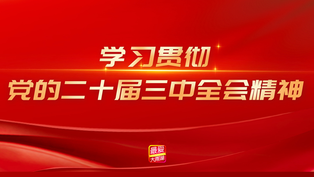 专题丨学习贯彻党的二十届三中全会精神