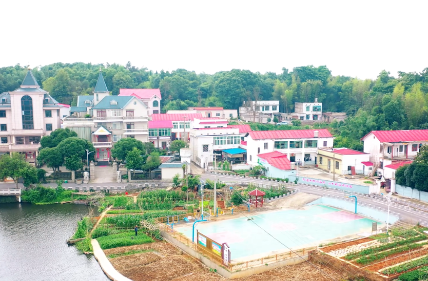 雨湖区红星村：奏响乡村振兴的和美乐章