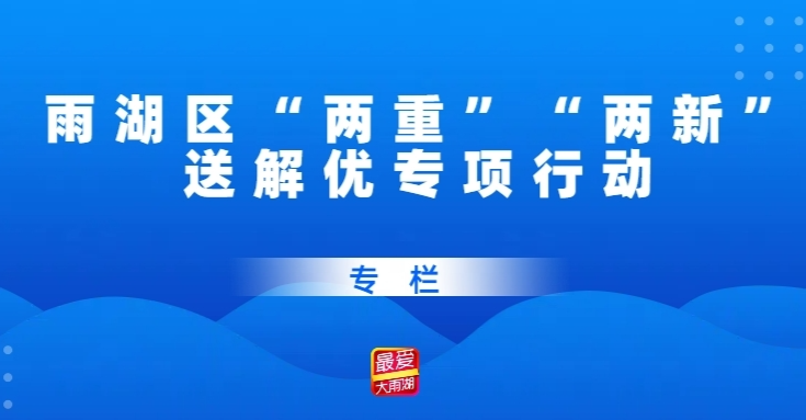 雨湖区“两重”“两新”送解优专项行动专栏